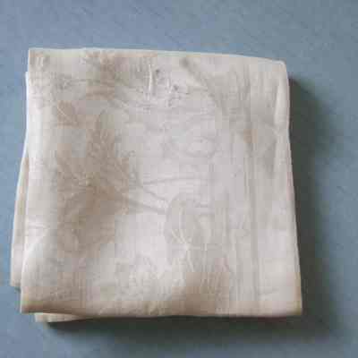 Napkin