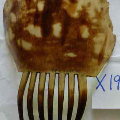 Comb