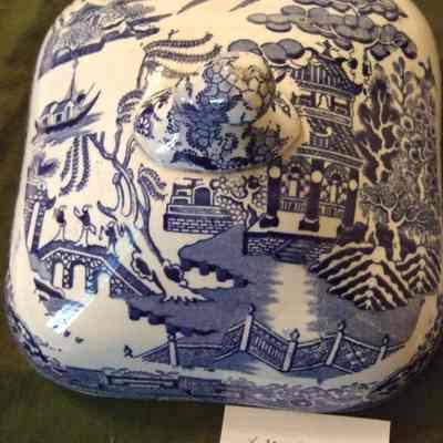 Cover, Dish
