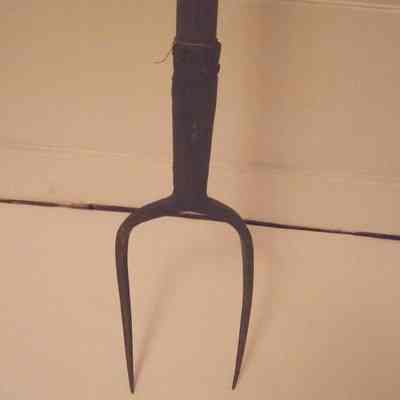 Fork