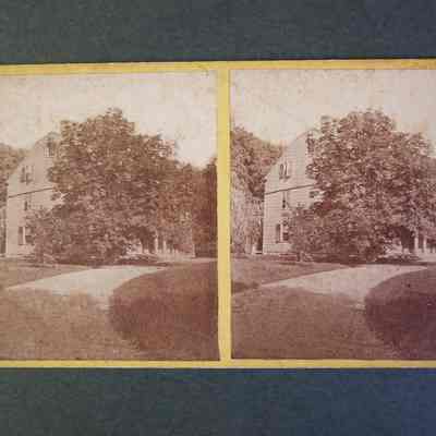 Print, Photographic