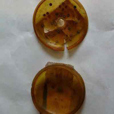 Snuffbox