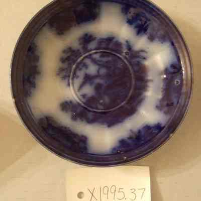 Saucer