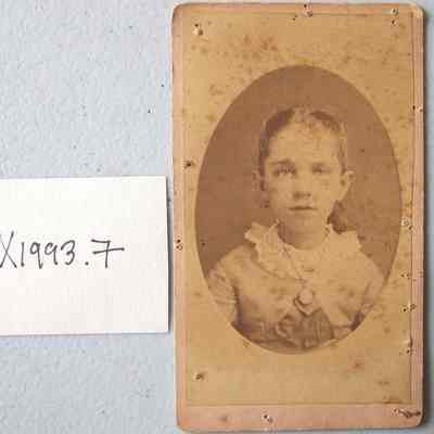 Card, Cabinet