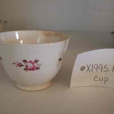 Cup