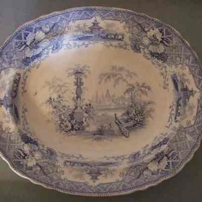 Dish