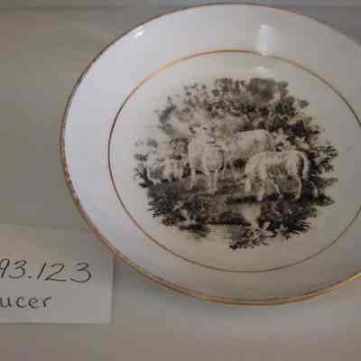 Saucer