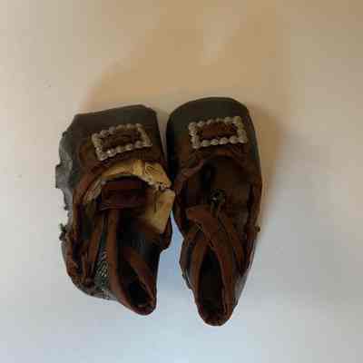 shoe