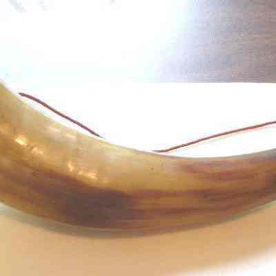 Horn