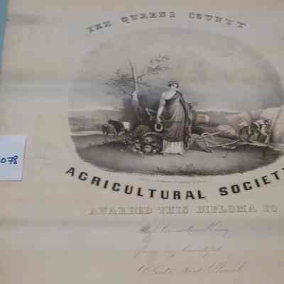 Diploma Awarded to Cornelia King