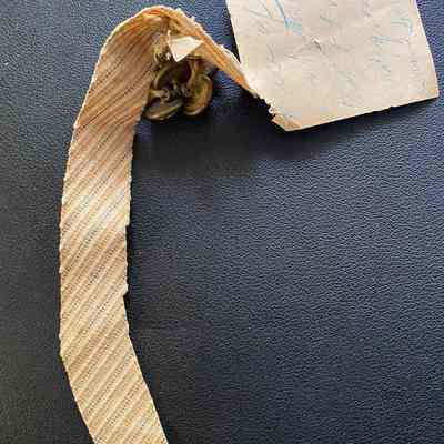 Cloth Fragment