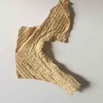 bodice