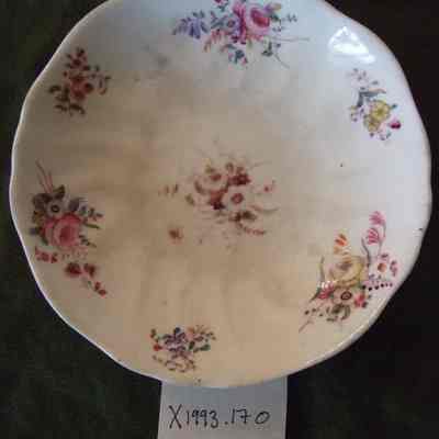 Saucer
