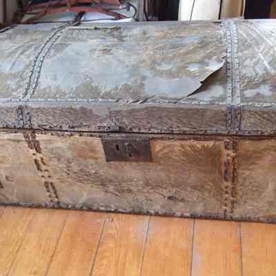 Trunk