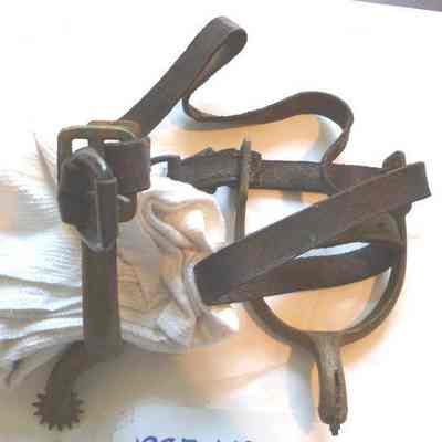 Spur