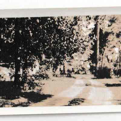 Road to Episcopal Church, Pinopolis