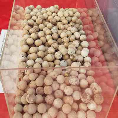 488 Musket balls