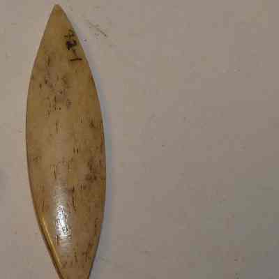 Bone tatting shuttle