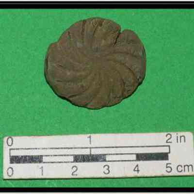 Bridle rosette