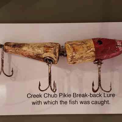 Creek Chub Pikie Break-back lure