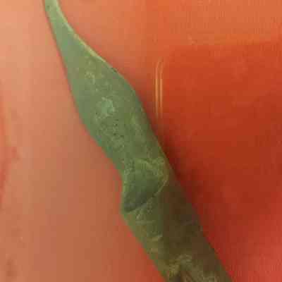 Ramrod pipe