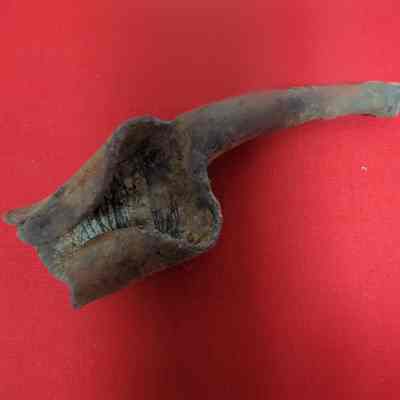 Pewter spoon