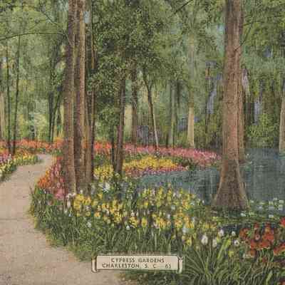 Cypress Gardens postcard