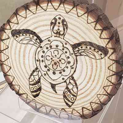 Wooden etching of turtle