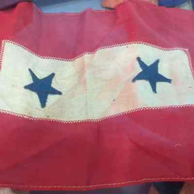 Blue Star service banner