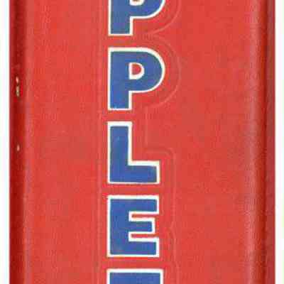 2023.4.7_spine: Copyright: Swedish American Museum; Origformat: Book; Resolution: 600ppi