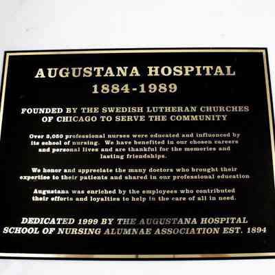Plaque