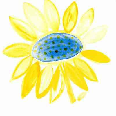 Le Tournesol jaune en Provence