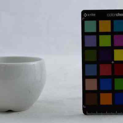 2023.3.2.F_Back: Copyright: Swedish American Museum; Origformat: 3D Artifact; Resolution: 300 dpi