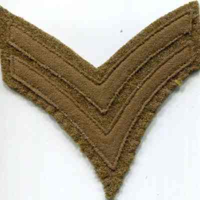 Insignia