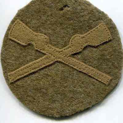 Insignia