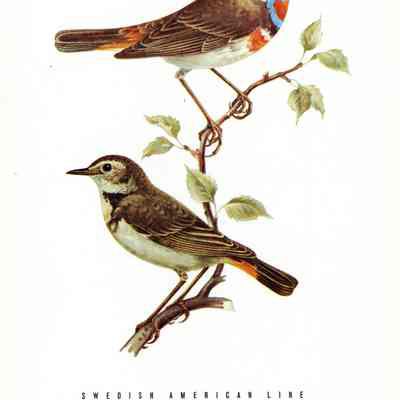 1995.76.23D_Cover