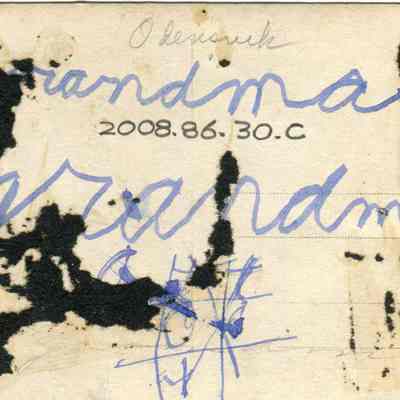 2008.86.30.C_Back: Copyright: Swedish American Museum; Origformat: Print-Photographic; Resolution: 300dpi