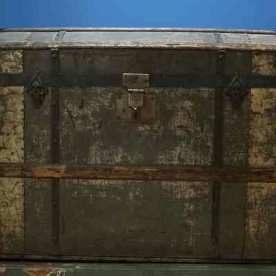 Trunk