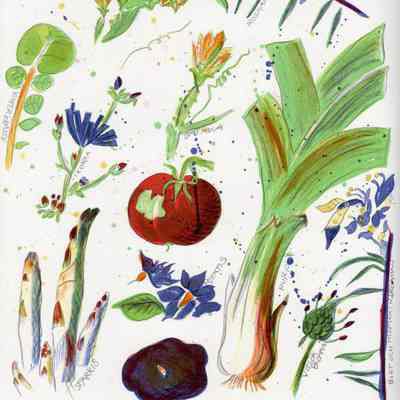 Tomatsallad